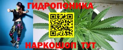 прущие грибы Наро-Фоминск
